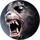 Thong S. profile picture